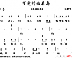 [英]可爱的画眉鸟简谱