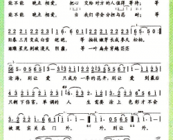 晚点相爱简谱
