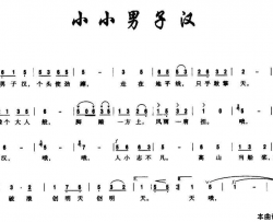 小小男子汉赵大国词王正明曲简谱