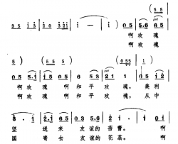玫瑰，和平玫瑰简谱