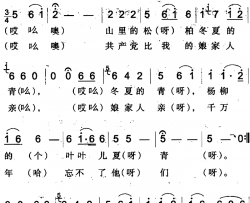 千万年忘不了他们简谱-呼图壁回族民歌马秀英-