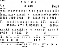 青岛的翅膀简谱