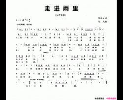 走进雨里简谱