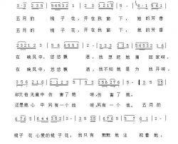 五月的桅子花简谱