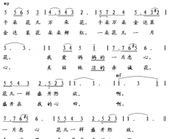 赤诚花朝鲜歌曲简谱