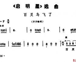 满天星星一颗颗明简谱-