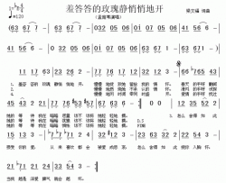 羞答答的玫瑰静悄悄地开--孟庭苇简谱