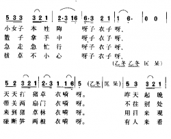 小女子本姓陶简谱