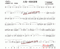 大海一样的深情简谱-陈红冰演唱