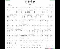 万紫千红乐音词杨瑞庆曲简谱