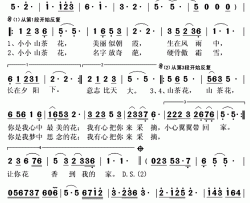 山茶花简谱(歌词)-曹芙嘉演唱-秋叶起舞记谱上传