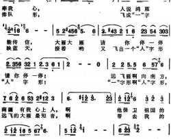 大雁啊！你最知音简谱