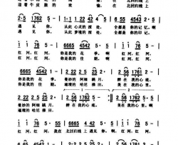 北回归线上遇见你简谱