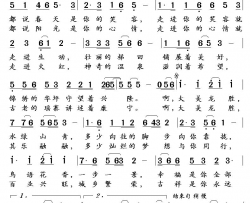 大美龙胜简谱