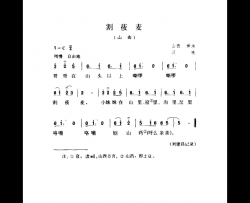 割莜麦山曲简谱