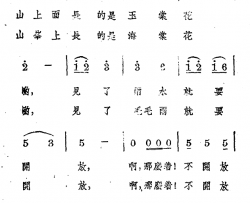 叶喜昂嘎简谱-