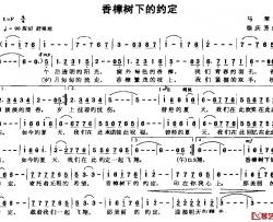 香樟树下的约定简谱-马琴词/徐庆芳曲