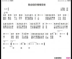 我会陪你慢慢变老简谱