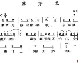 苏茅草简谱-四川民歌