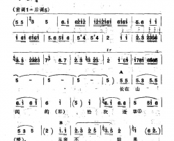 在山间新疆伊犁 维吾尔民歌 第十二套《小莱龙》简谱