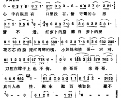 情哥哥的心思猜不透电视剧《康德第一保镖传奇》插曲简谱