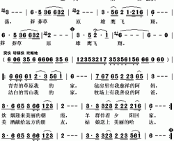 雄鹰简谱(歌词)-刘和刚演唱-秋叶起舞记谱上传