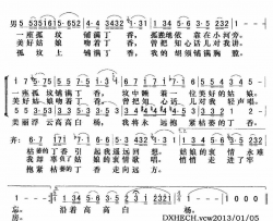 高高的白杨男女声二重唱简谱-孙曙光演唱