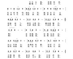 老核桃树在说话简谱