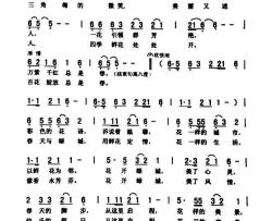 花开绿城简谱