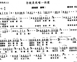 你就是我唯一的爱简谱