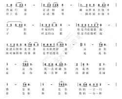 幸福寻觅又名：我的幸福寻觅简谱