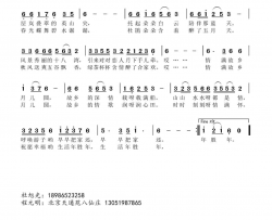 情满故乡月儿圆简谱