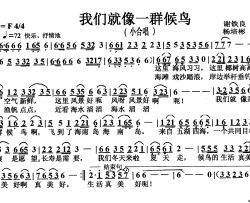 我们就像一群候鸟小合唱简谱