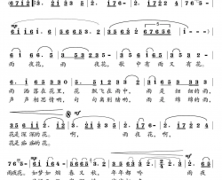 雨夜花简谱-张玲玲演唱-鲁萍、葛清/葛清词曲