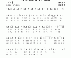 我们是金色的小星星简谱
