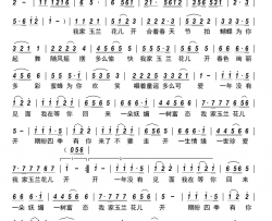 玉兰花开简谱-康婵玉演唱-文海、红霞/张勇词曲