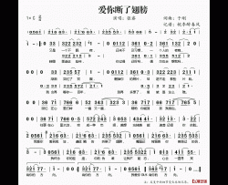 爱你断了翅膀简谱(歌词)-张睿演唱-桃李醉春风记谱