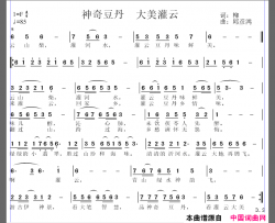 神奇豆丹大美灌云简谱