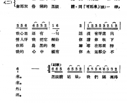 黑眼睛哈萨克民歌简谱