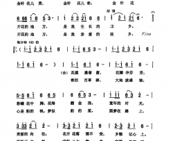 金针花儿香简谱