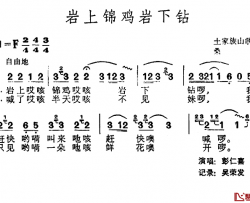 岩上锦鸡岩下钻简谱-土家族山歌