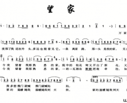 望家简谱