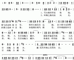 九色甘南 魅力藏乡简谱(歌词)-王晓晴演唱-秋叶起舞记谱上传