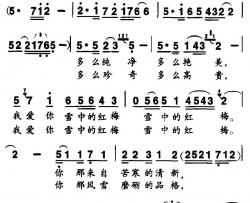 雪中红梅简谱