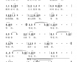 等花开简谱-张锡明曲谱