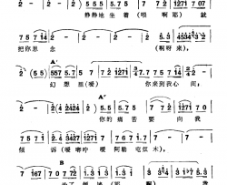 小阿勒屯奴木简谱-新疆伊犁 维吾尔民歌 第五套《小汗莱龙》