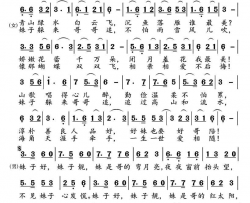好妹子简谱-紫衣演唱-春波/高福友词曲