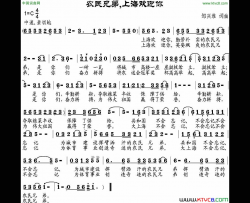 农民兄弟，上海欢迎你简谱