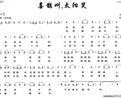 喜鹊叫，太阳笑简谱