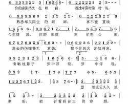 清晰的影子简谱-塞北的雪演唱-傲雪藏梅/荣亚楠词曲
